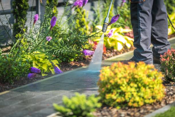 Best Gutter Cleaning  in West Allis, WI