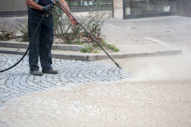Best Driveway Pressure Washing  in West Allis, WI